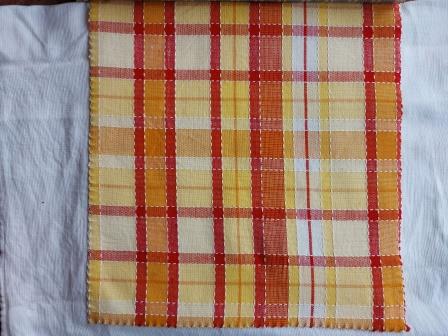 Cotton yarn Dyed Dobby Check Fabric